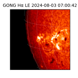 gong - 2024-08-03T07:00:42