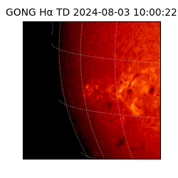 gong - 2024-08-03T10:00:22