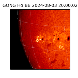 gong - 2024-08-03T20:00:02