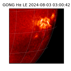 gong - 2024-08-03T03:00:42