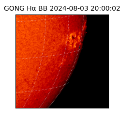 gong - 2024-08-03T20:00:02