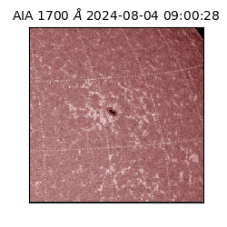 saia - 2024-08-04T09:00:28.718000