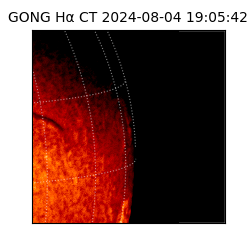 gong - 2024-08-04T19:05:42