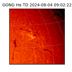 gong - 2024-08-04T09:02:22