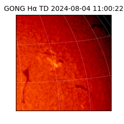 gong - 2024-08-04T11:00:22