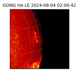 gong - 2024-08-04T02:00:42