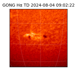 gong - 2024-08-04T09:02:22