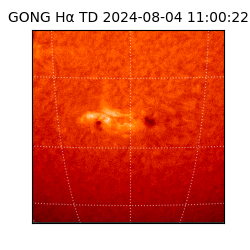 gong - 2024-08-04T11:00:22