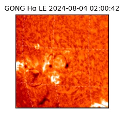 gong - 2024-08-04T02:00:42