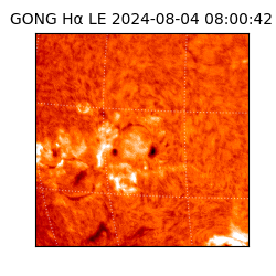 gong - 2024-08-04T08:00:42