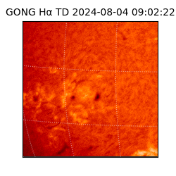 gong - 2024-08-04T09:02:22