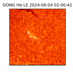 gong - 2024-08-04T02:00:42