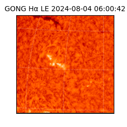 gong - 2024-08-04T06:00:42