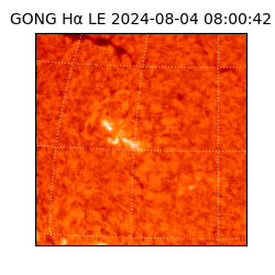 gong - 2024-08-04T08:00:42