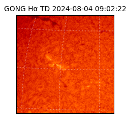 gong - 2024-08-04T09:02:22