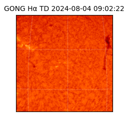 gong - 2024-08-04T09:02:22