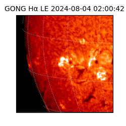 gong - 2024-08-04T02:00:42
