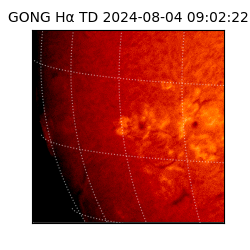 gong - 2024-08-04T09:02:22