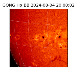 gong - 2024-08-04T20:00:02