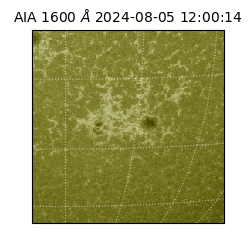 saia - 2024-08-05T12:00:14.126000