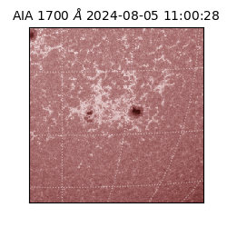 saia - 2024-08-05T11:00:28.718000