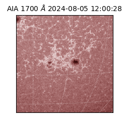 saia - 2024-08-05T12:00:28.718000