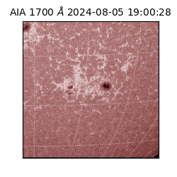 saia - 2024-08-05T19:00:28.717000