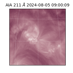 saia - 2024-08-05T09:00:09.626000