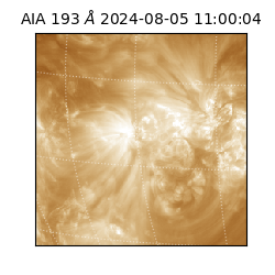 saia - 2024-08-05T11:00:04.843000