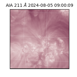 saia - 2024-08-05T09:00:09.626000