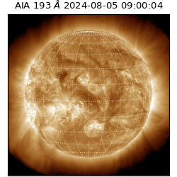 saia - 2024-08-05T09:00:04.843000