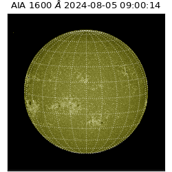 saia - 2024-08-05T09:00:14.126000