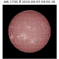 saia - 2024-08-05T09:00:28.718000
