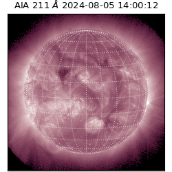saia - 2024-08-05T14:00:12.520000