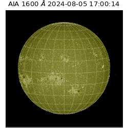 saia - 2024-08-05T17:00:14.126000