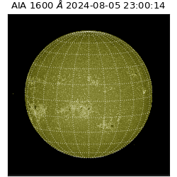 saia - 2024-08-05T23:00:14.130000