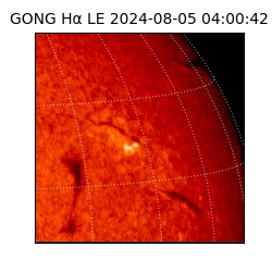 gong - 2024-08-05T04:00:42