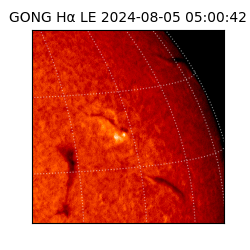 gong - 2024-08-05T05:00:42