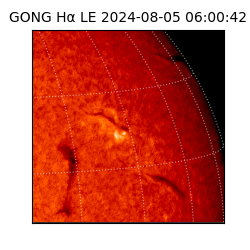 gong - 2024-08-05T06:00:42