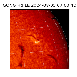gong - 2024-08-05T07:00:42