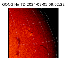 gong - 2024-08-05T09:02:22