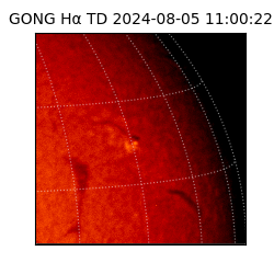 gong - 2024-08-05T11:00:22