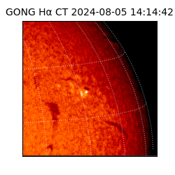 gong - 2024-08-05T14:14:42