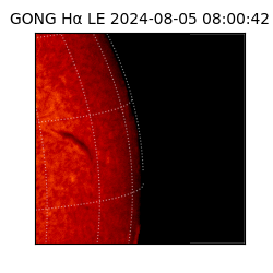gong - 2024-08-05T08:00:42
