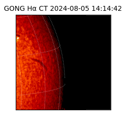 gong - 2024-08-05T14:14:42