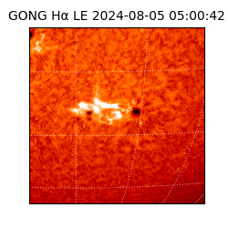 gong - 2024-08-05T05:00:42