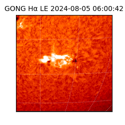 gong - 2024-08-05T06:00:42