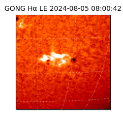 gong - 2024-08-05T08:00:42