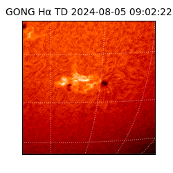 gong - 2024-08-05T09:02:22