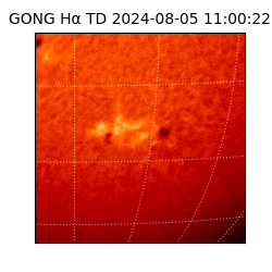 gong - 2024-08-05T11:00:22